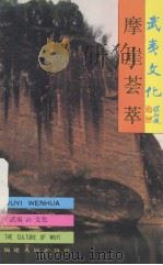 武夷山文化丛书  摩崖荟萃   1993  PDF电子版封面  7211021268  梁继武等著 