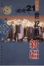 走向21世纪的新疆 经济卷 1999 PDF电子版封面 7228053893 王拴乾主编