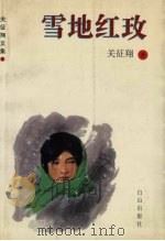 雪地红玫（1999 PDF版）