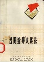 昔阳遍开大寨花  昔阳县学大寨经验选编（1973 PDF版）