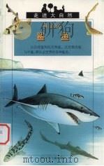 鲨鱼 1999 PDF电子版封面 753532004X (法)(P.路易斯)Patrick Louisy著;(法)(
