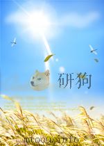 困惑与选择:现实主义面临挑战 1988 PDF电子版封面 黄国柱著