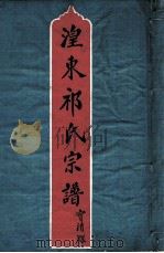 湟东祁氏宗谱 PDF电子版封面