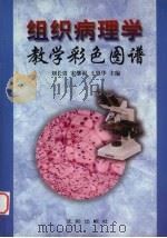 组织病理学教学彩色图谱 1999 PDF电子版封面 7544112411 刘长贵等主编;医学摄影李建华,刘长贵