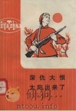 深仇大恨太阳出来了 革命样板戏故事 1974 PDF电子版封面 10171·369 上海市南汇县革命故事编写作组改编