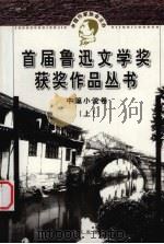 鲁迅文学奖获奖作品丛书  中篇小说  上   1998  PDF电子版封面  7507507238  《小说选刊》杂志社编 