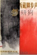 西藏脚步声 刘伟新闻作品选 1994 PDF电子版封面 722300746X 刘伟著
