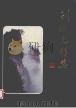 刘曦光影集 1995 PDF电子版封面 7806080929 刘曦光摄