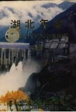湖北年鉴  1994  总第6卷（1994 PDF版）