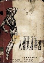 人体素描学习（1955 PDF版）