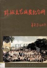 琼纵文艺战友纪念册 1991 PDF电子版封面 联欢会筹备组编
