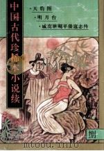 中国古代珍稀本小说续 8 1997 PDF电子版封面 7531316218 董文成等编