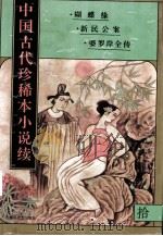 中国古代珍稀本小说续 10 1997 PDF电子版封面 7531316218 董文成等编