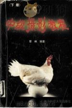 中级摄影教程  下（1997 PDF版）