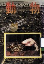 动物（1980 PDF版）