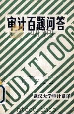审计一百题问答  选自英国会计师考试试题     PDF电子版封面    武汉大学审计教研室译 