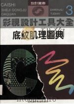 彩视设计工具大全底纹肌理图典三 1999 PDF电子版封面 7805719187 王义钢吴涤生主编