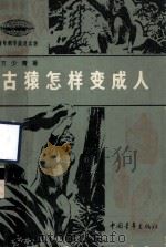 青年科学普及读物 古猿怎样变成人 1977 PDF电子版封面 13009·150 方少青著