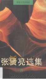 张贤亮选集 4 1995 PDF电子版封面 7530616218 张贤亮著