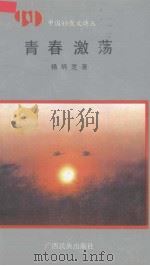青春激荡（1992 PDF版）