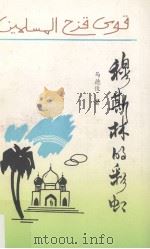穆斯林的彩虹   1993  PDF电子版封面  7810164961  马德俊著 