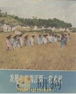 农业通俗画库  第1辑  7  发展中的江西第一农业社   1956  PDF电子版封面    农业部农业宣传总局编 