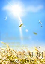 李贽研究参考资料 李贽与《水浒传》资料专辑 第三辑 1976 PDF电子版封面 厦门大学历史系编
