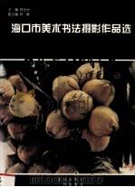 海口市美术书法摄影作品选  椰乡风情（1995 PDF版）