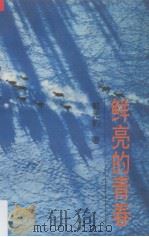 鲜亮的青春 1995 PDF电子版封面 7505922548 郭光豹著