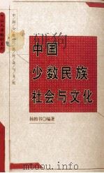 中国少数民族社会与文化   1999  PDF电子版封面  7306014617  杨鹤书编著 