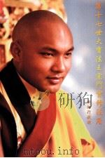 第十七世大宝法王宗门实修法座 PDF电子版封面 四加行教授著