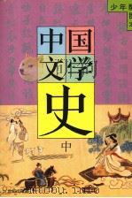少年配图本 中国文学史 中 PDF电子版封面 753917995 穆一衡著