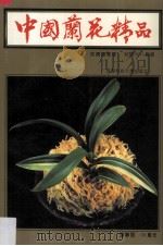 中国兰花精品 投资与栽培 1992 PDF电子版封面 7561612753 吴开元编著