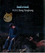 当代艺术个案丛书  宋永红  欲望广场     PDF电子版封面  01745110  广东美术馆编 