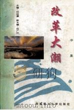 改革大潮 中 1996 PDF电子版封面 9787562310327 刘远清主编;池广祥副主编
