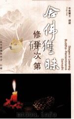 念佛三昧 佛学次第 1994 PDF电子版封面 平实居士讲述