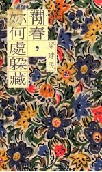 青春你何处躲藏   1989  PDF电子版封面  957622005X  梁建民著 