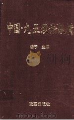 中国·九五理论纵横 1997 PDF电子版封面 7801430263 杨子主编