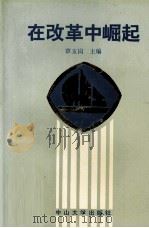 在改革中崛起  广东省茂名市化工一厂企业改革纪效（1991 PDF版）