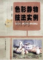 色彩静物技法实例（1999 PDF版）