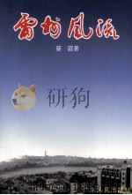 雷州风流（1994 PDF版）