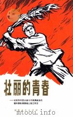 壮丽的青春  记在扑灭烈火战斗中英勇献身的福州部队某部战士张江同志   1972  PDF电子版封面     