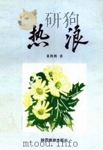 热浪 1996 PDF电子版封面 7541812137 裴铁辉著