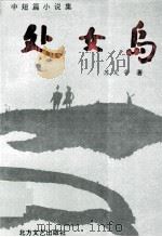 处女岛 中短篇小说集 1994 PDF电子版封面 7531707357 苏定华著