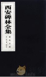 西安碑林全集 140卷 开成石经 礼记 1999 PDF电子版封面 7806326162 高峡主编;李林娜,王原茵,王其祎副主编