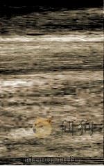 唐兖公颂碑  3（ PDF版）