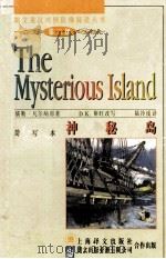 神秘岛 简写本 1998 PDF电子版封面 7532719863 (法)儒勒·凡尔纳(Jules Verne)著;(英)D.K