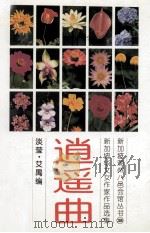 逍遥曲 1998 PDF电子版封面 9813094397 淡莹艾禺编