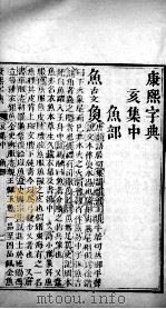 康熙字典 亥集中 PDF电子版封面 (清)张玉书等撰