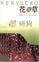 花与草 1996 PDF电子版封面 7805798117 周榕芳著